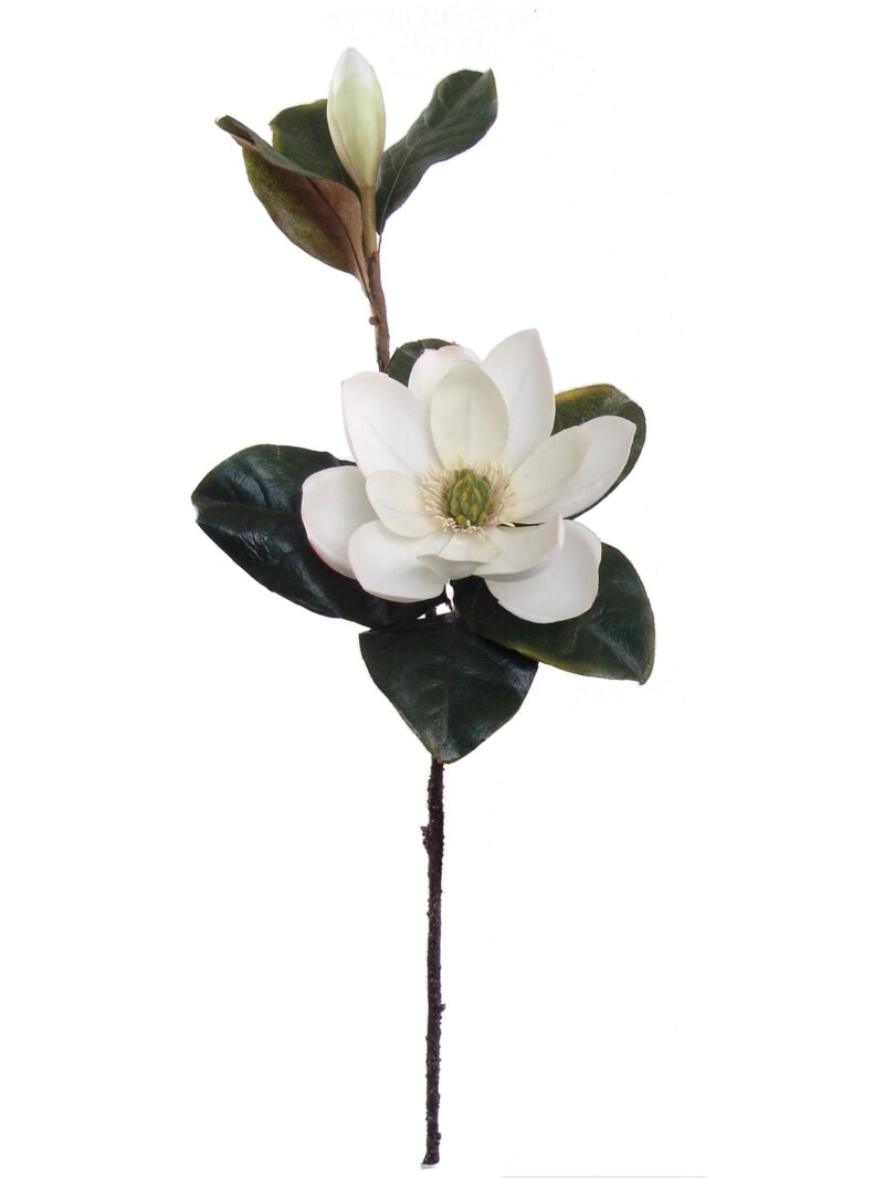 Real Touch White Magnolia Stem with Bud: Set of 6, 26-Inch Floral Home by Artificial Flowers