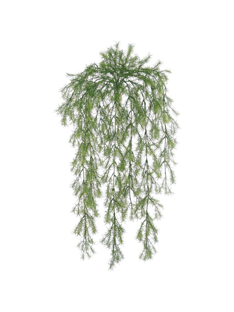 12-Pack: 31&#x22; UV Sprengeri Hanging Bush with 195 Tips by Floral Home&#xAE;