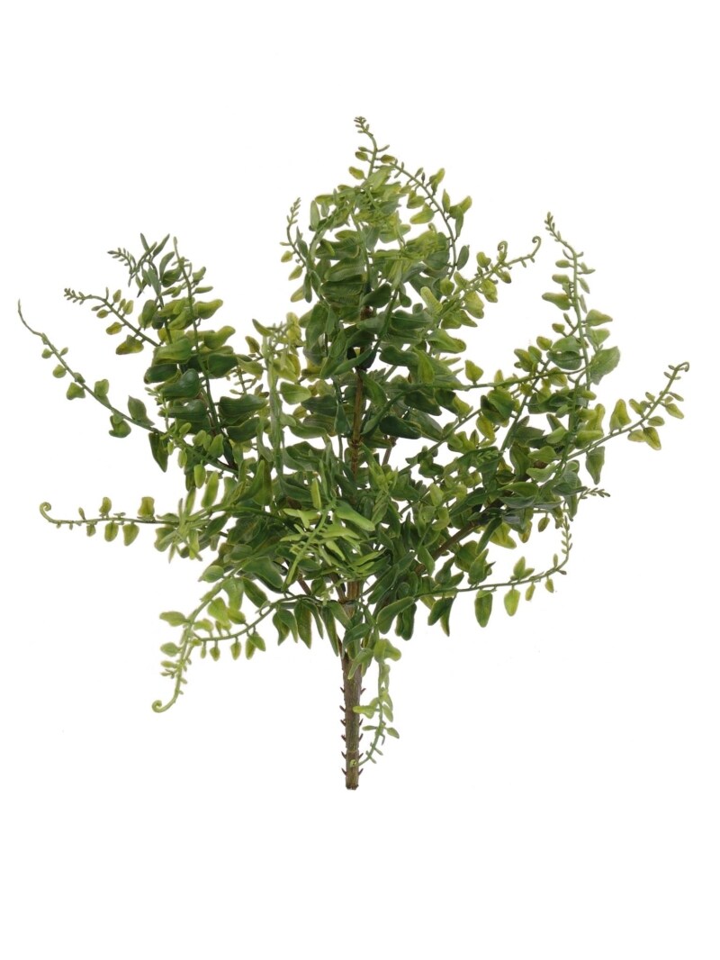 24-Pack: 15&#x22; UV Realistic Buckler Fern Bush with 38 Tips by Floral Home&#xAE;