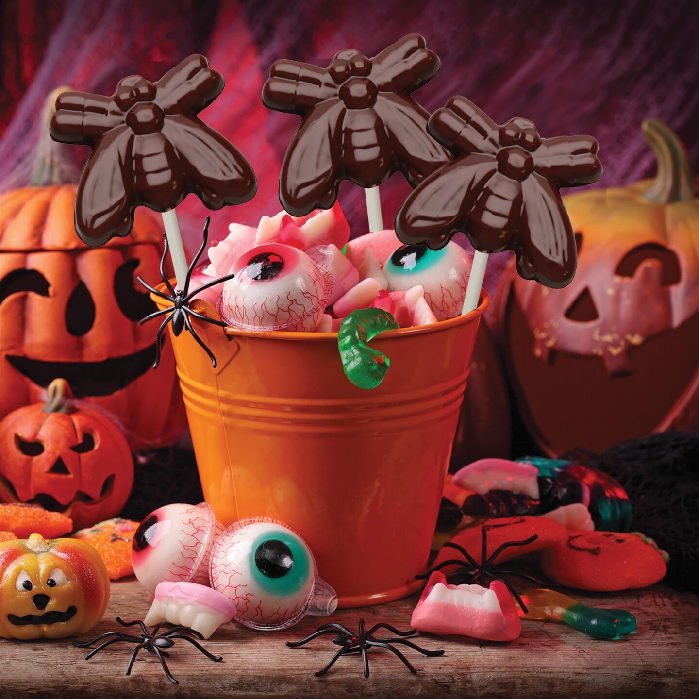 Chocolate Mold Fly Lolly