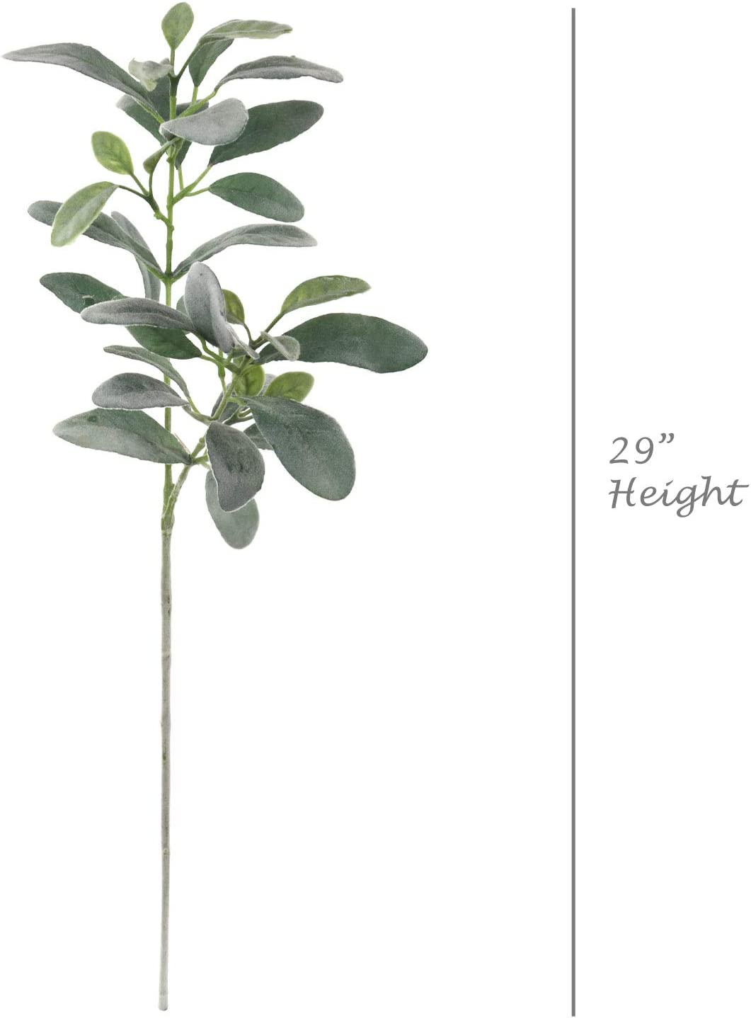 29" Real Touch Lamb Ear Stems - 6-Pack, Artificial Silk Foliage, Home Decor - Perfect for Bouquets, Centerpieces - Year-Round Greenery, Floral Home by Artificial Flowers