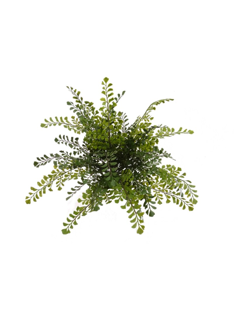 Graceful 15&#x22; Maidenhair Fern Bush Collection - 12 Piece Green, Ideal for Tranquil Home Decor, Events, and DIY Greenery Crafts - Top-Selling Lifelike Plant Accent