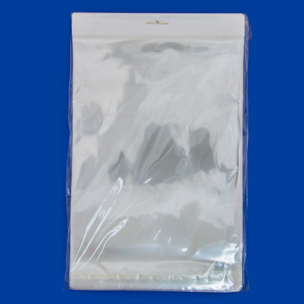 Resealable Polypropylene Bags with Hanging Header 8x10" (Package of 100)