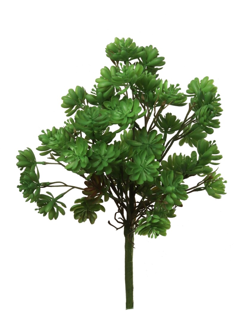 12-Pack: Real Touch Dwarf Aeonium Bush, 10" Wide, Floral Home by Artificial Flowers