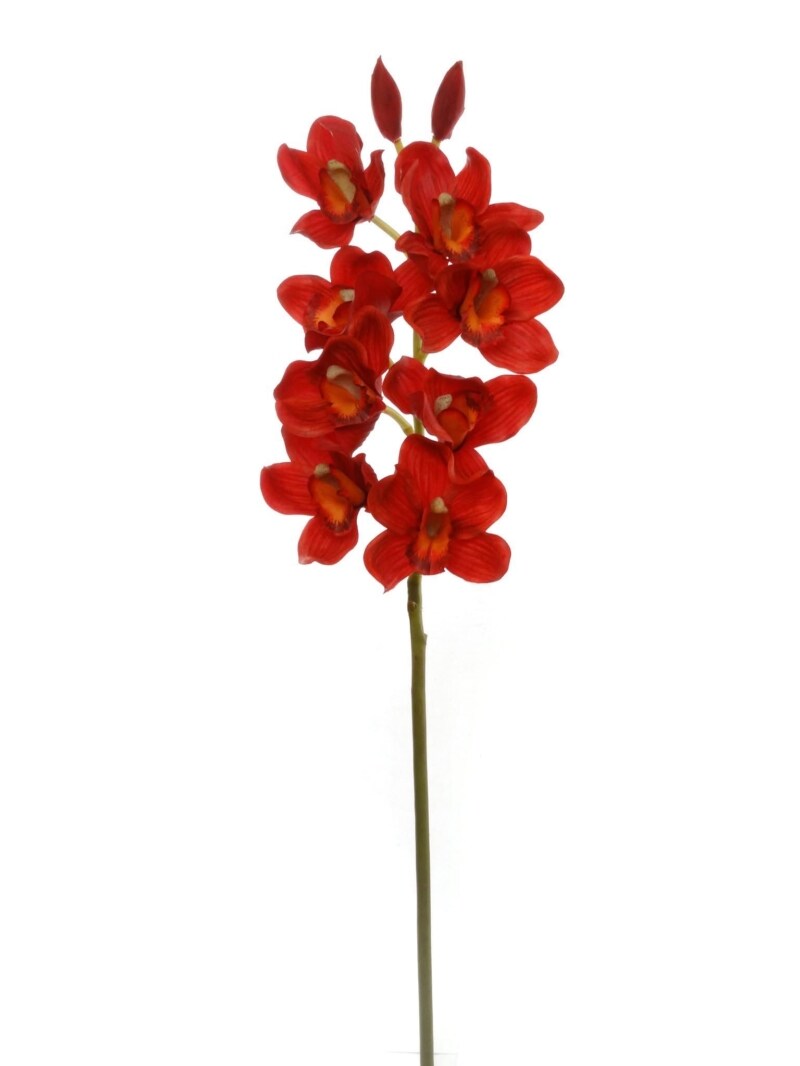 12-Pack: Real Touch Red Cymbidium Orchid Stem by Floral Home&#xAE;