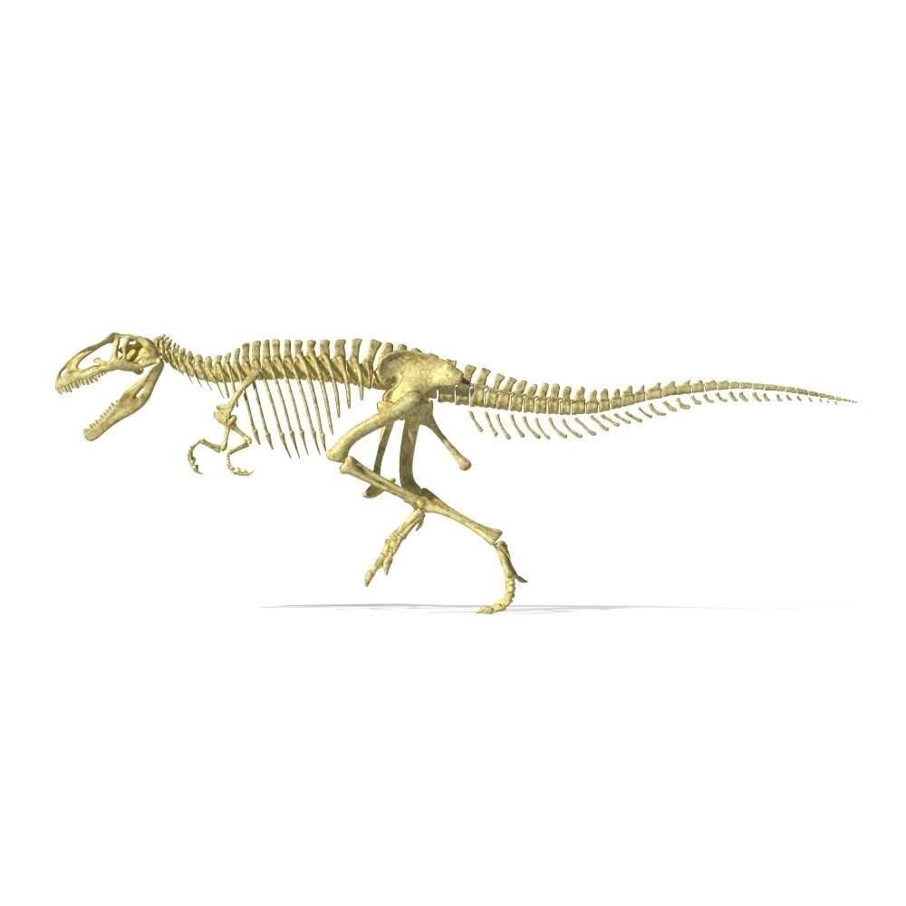 3D Rendering Of A Giganotosaurus Dinosaur Skeleton Poster Print