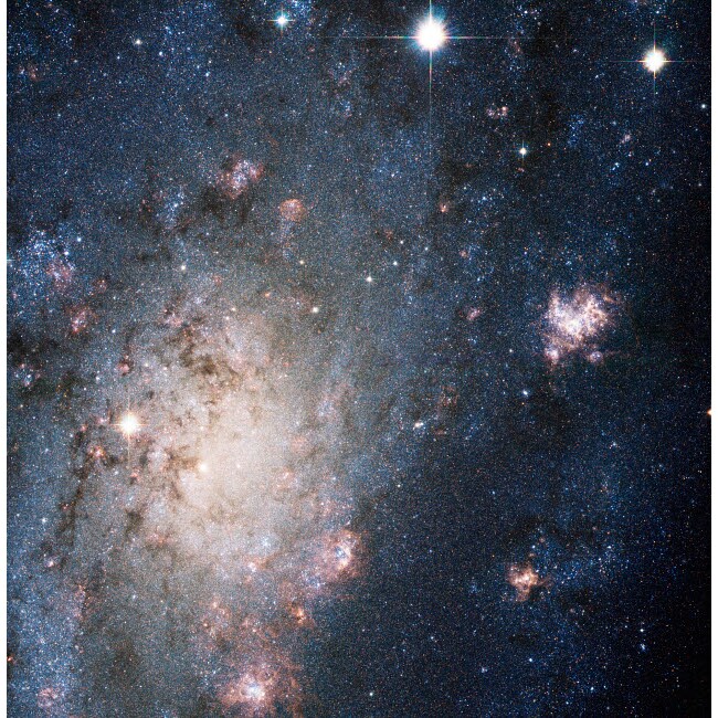 Posterazzi A supernova in the galaxy NGC 2403 Poster Print by Stocktrek Images