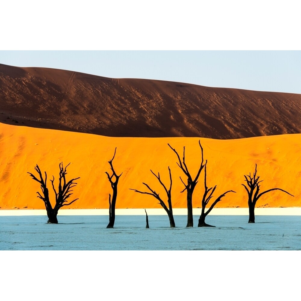 Dead Trees In A Desert Dead Vlei Sossusvlei Namib Desert Namib-Naukluft National Park Namibia Print By Panoramic