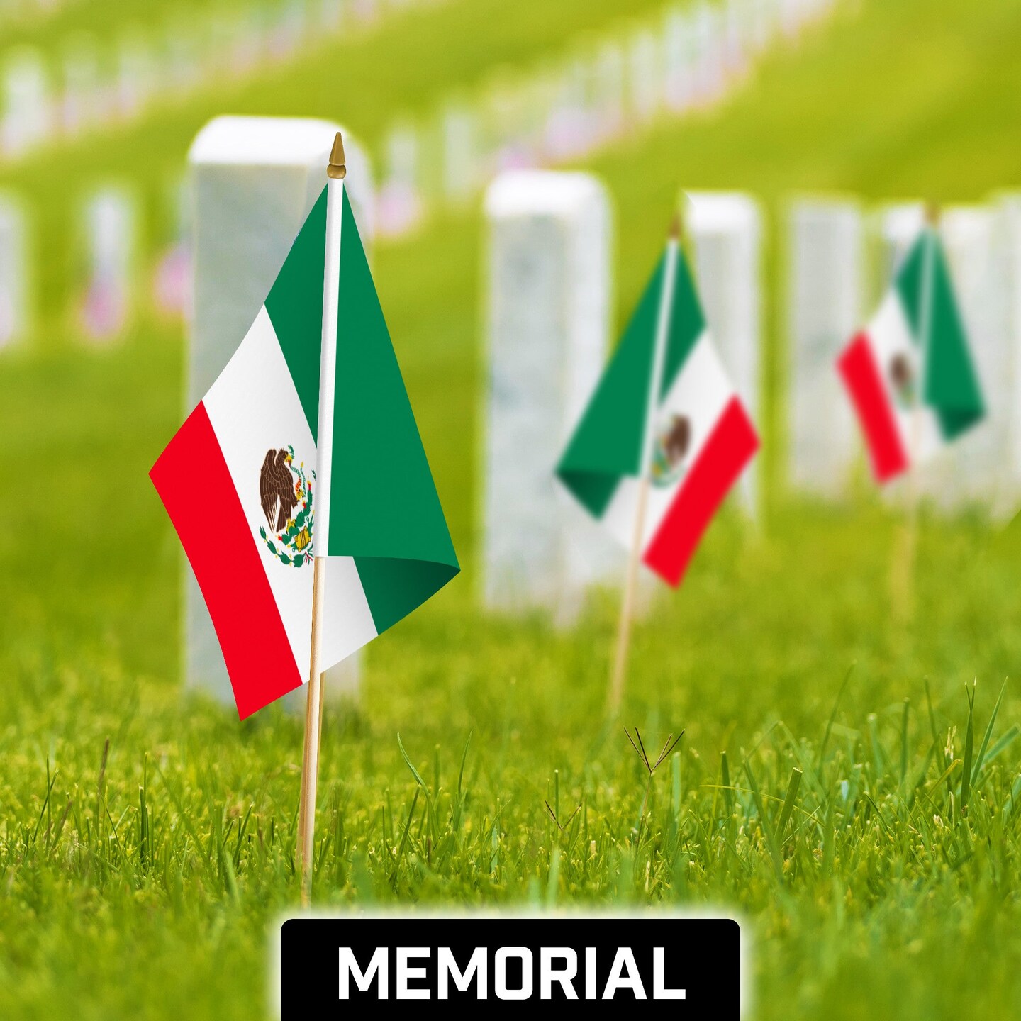 G128 50 Pack Handheld Mexico Mexican Stick Flags | 12x18 In | Printed 150D Polyester, Country Flag, Solid Wooden Stick, Spear Gold Tip