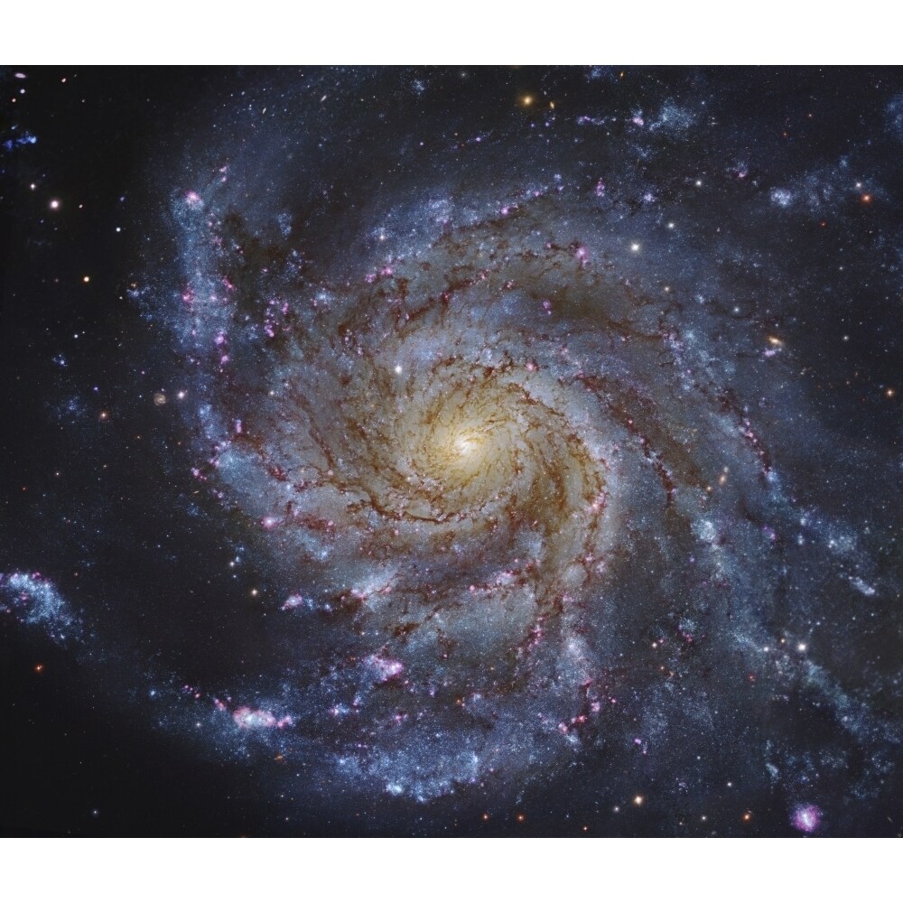 Messier 101 The Pinwheel Galaxy In Ursa Major Poster Print