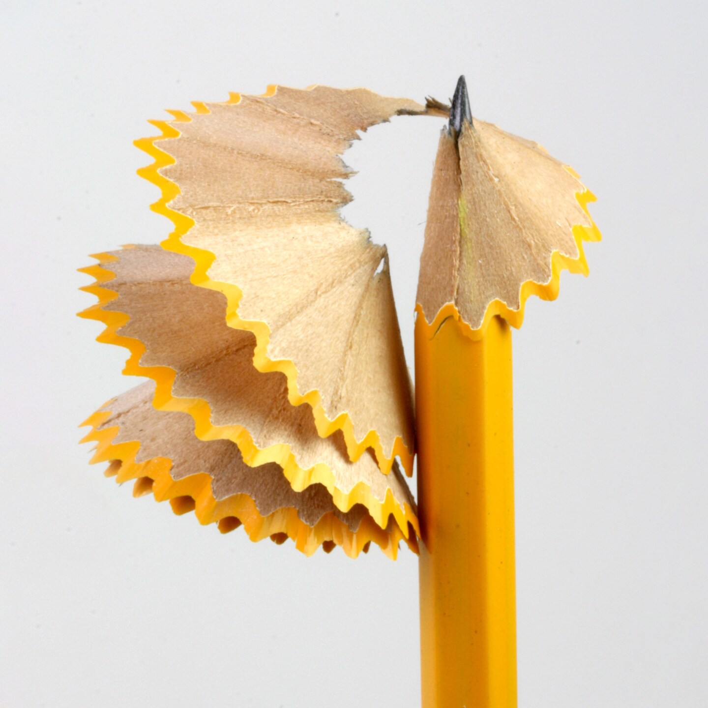 BAZIC Yellow Pencil #2 Pre-Sharpened Golf Pencil (144/Pack)