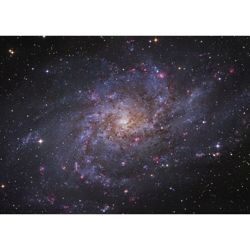 Messier 33 Spiral Galaxy In Triangulum Poster Print
