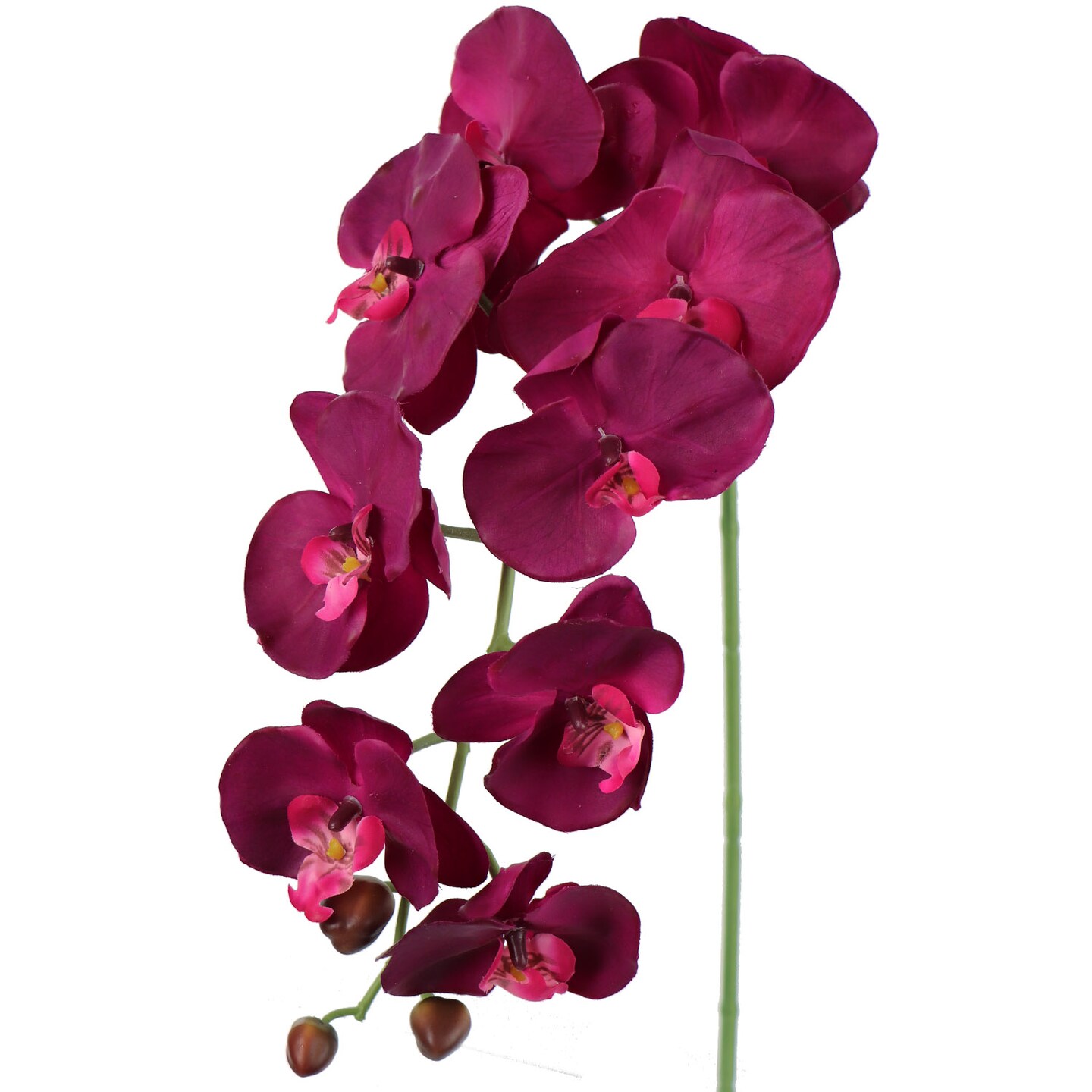 Real Touch Phalaenopsis Orchid Stem: Set of 2, 33.5-Inch, Floral Home by Artificial Flowers