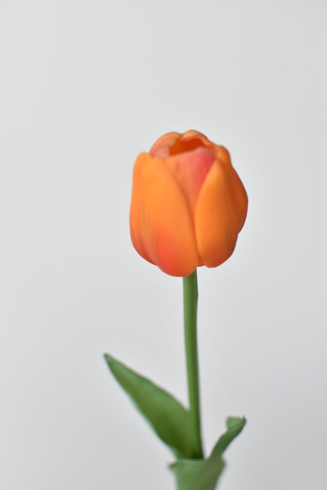 17&#x22; Faux Real Touch Orange Tullip Stem