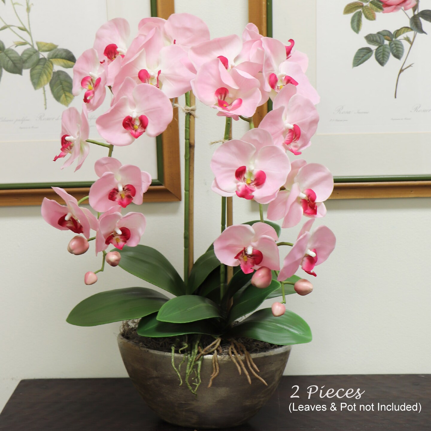 Real Touch Phalaenopsis Orchid Stem: Set of 2, 33.5-Inch, Floral Home by Artificial Flowers