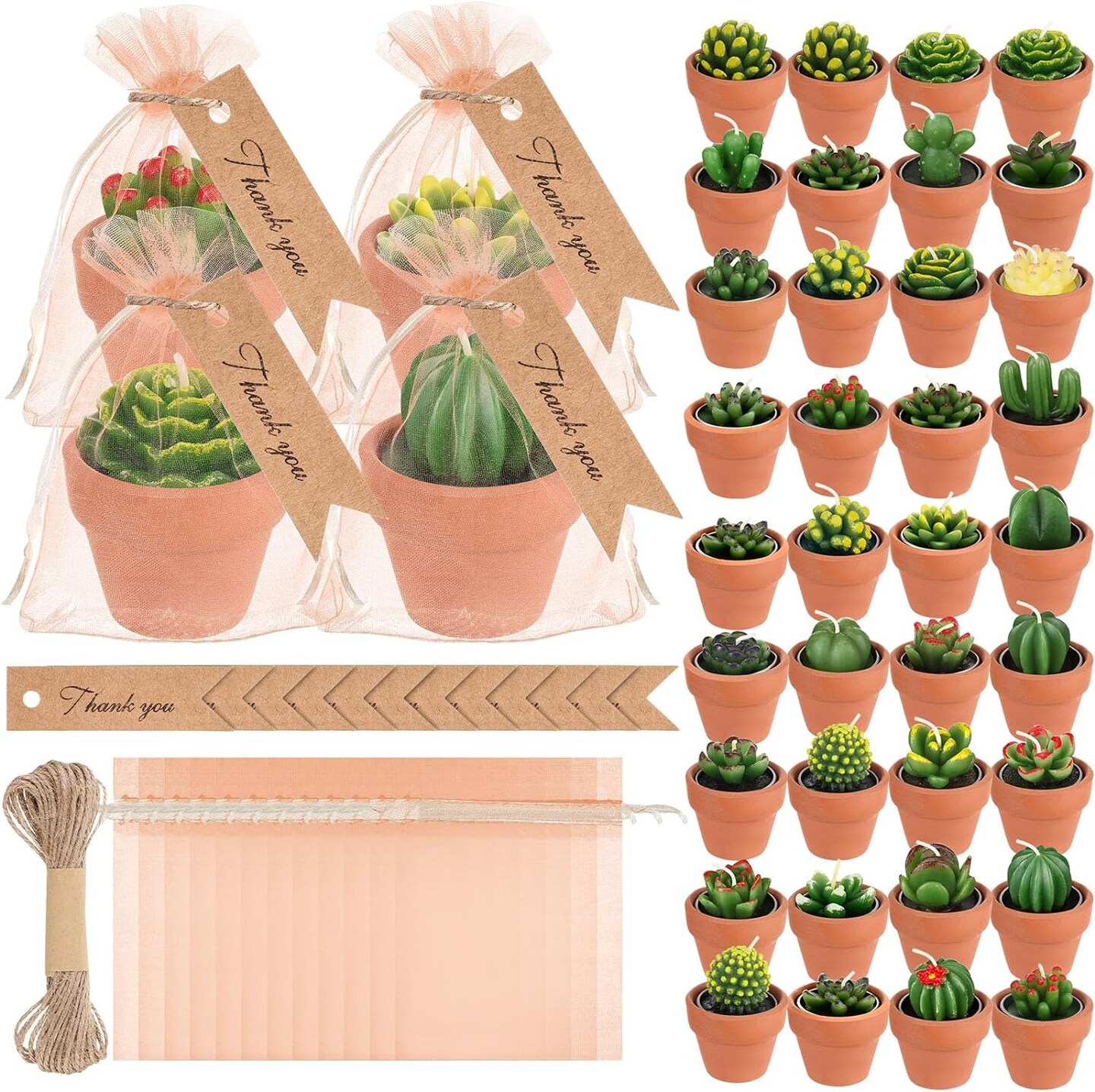 48-Pieces Succulent Cactus Tealight Candles Set with Mini Terracotta Pots, Gift Tags, Organza Bags