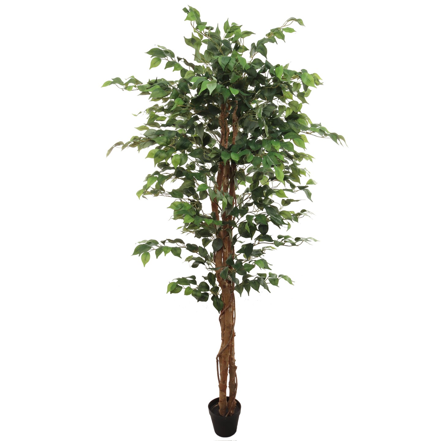 6ft Green Ficus Tree in Black Pot with 1008 Lifelike Silk Leaves - Tall Artificial Indoor/Outdoor Plant for Home, Office, or Event Decor - Floral Home by Artificial Flowers