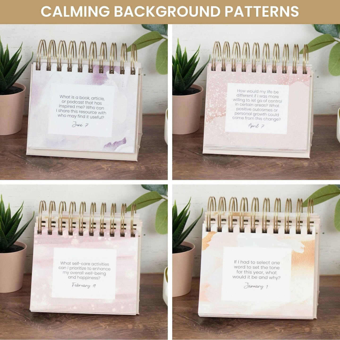 bloom daily planners Inspirational Perpetual Desk Easel, Daily Reflection Questions