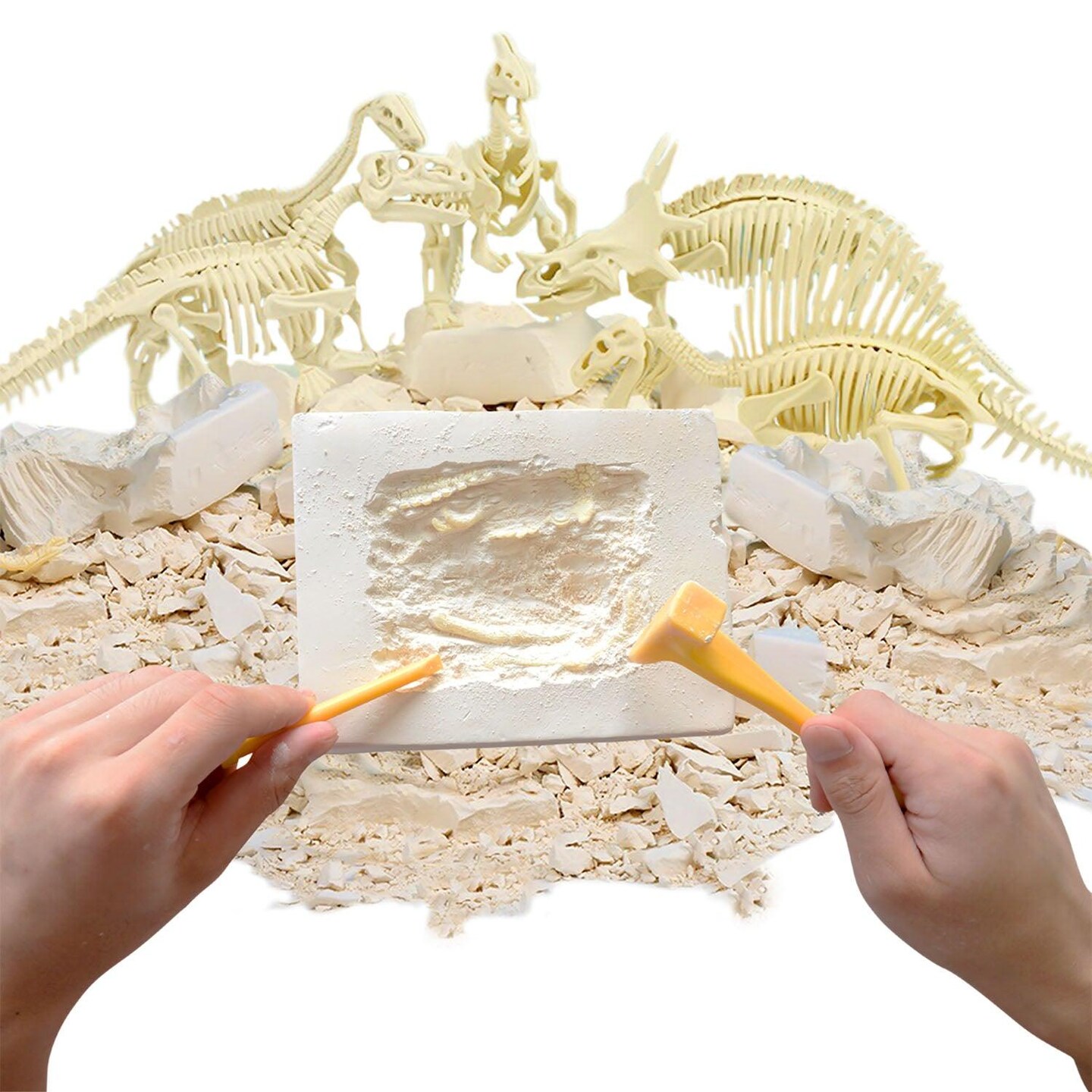 Paleo Hunter&#x2122; Dig Kit for STEAM Education - Velociraptor Rex