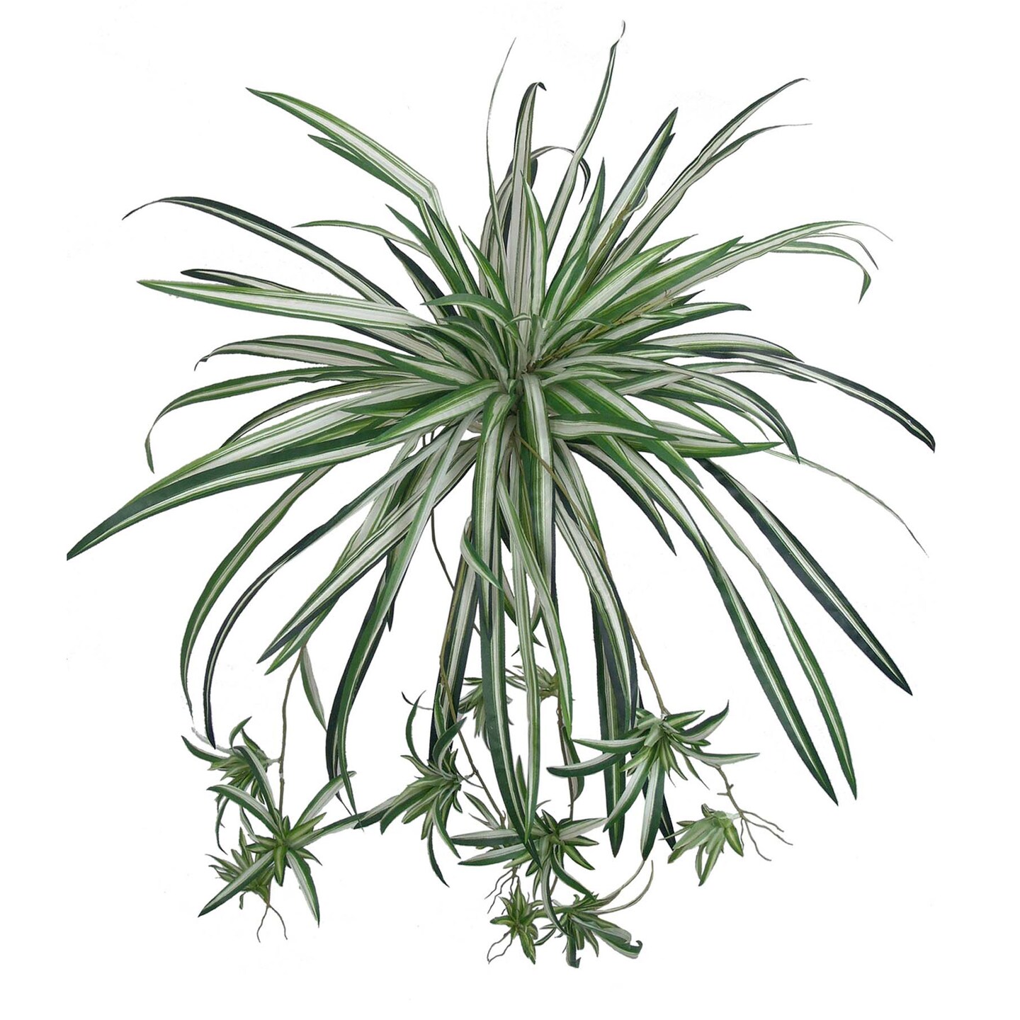 Set of 12 Lifelike 40" Artificial Spider Plants Green Faux Indoor