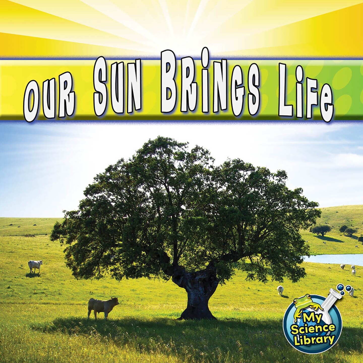 Rourke Educational Media Our Sun Brings Life