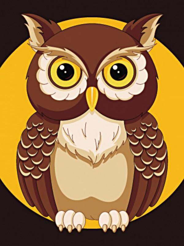 Night Owl WD308 5.9 x 7.9 inches Wizardi Diamond Painting Kit