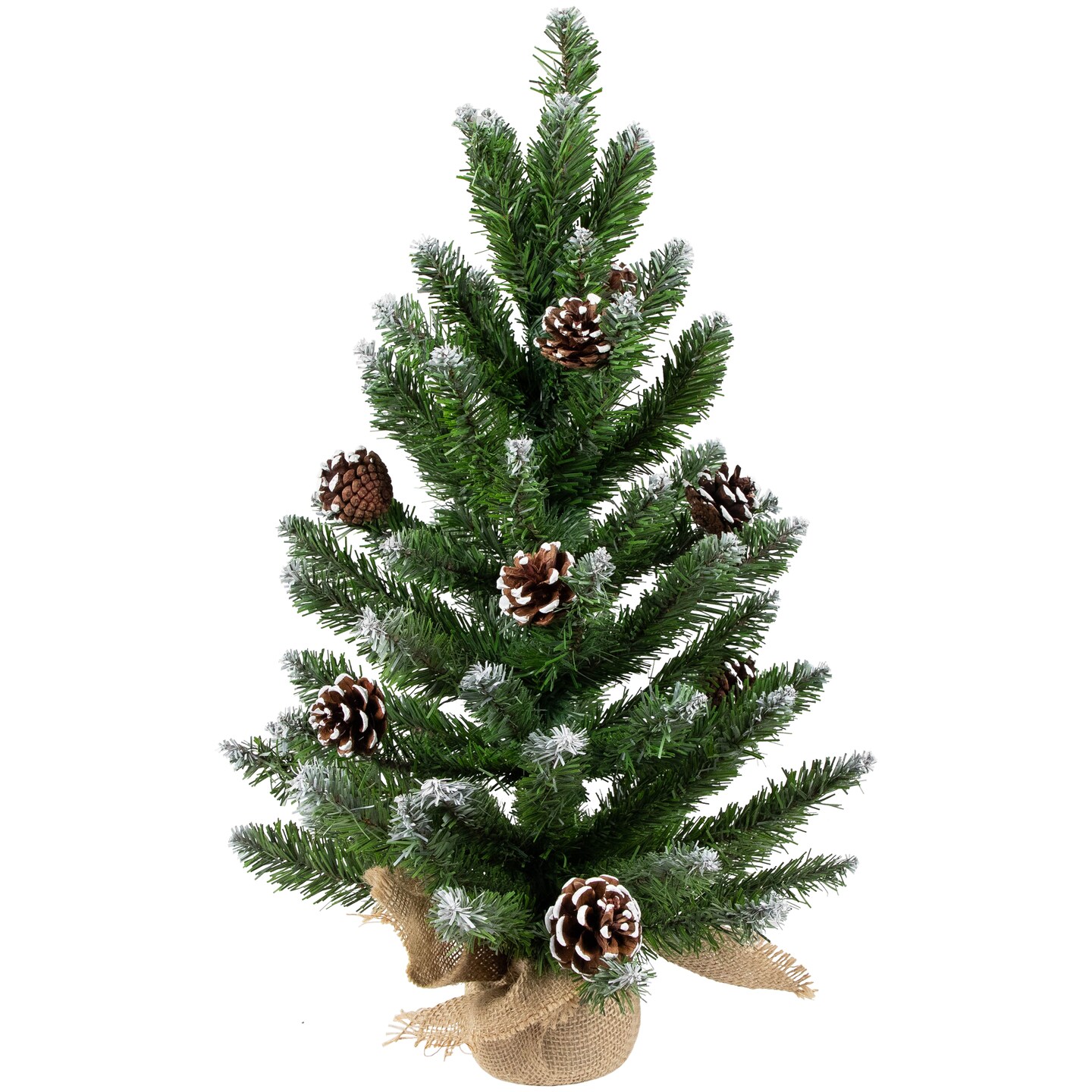 Northlight Frosted Norway Pine with Pine Cones Medium Artificial Christmas Tree - 24" - Unlit