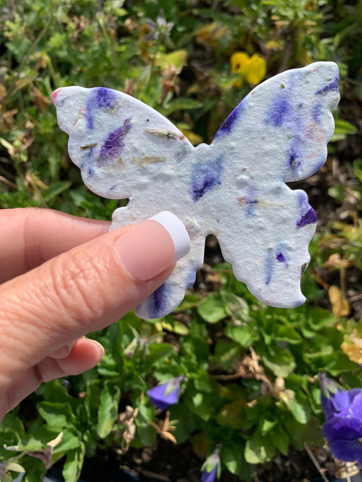 Plant Me! Biodegradable Flower Seed Paper