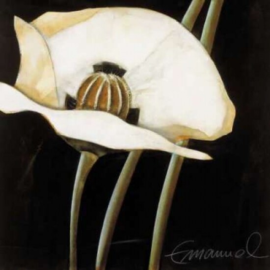 Excellent II Poster Print by Beate Emanuel - Item # VARPDXGA0116185