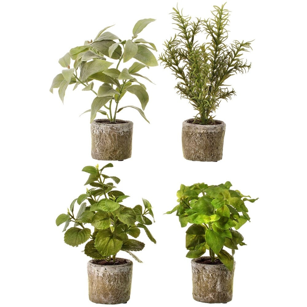 Herb in Pot 9&#x22;