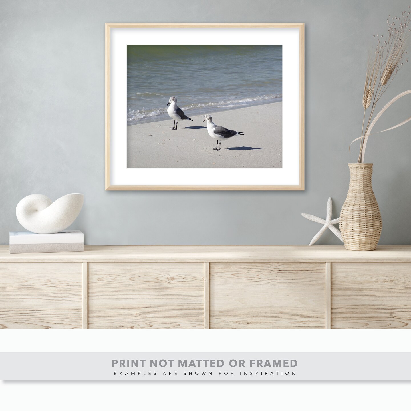 Funny Seagull Photo - Seagull Yelling at Another Gull by the Ocean