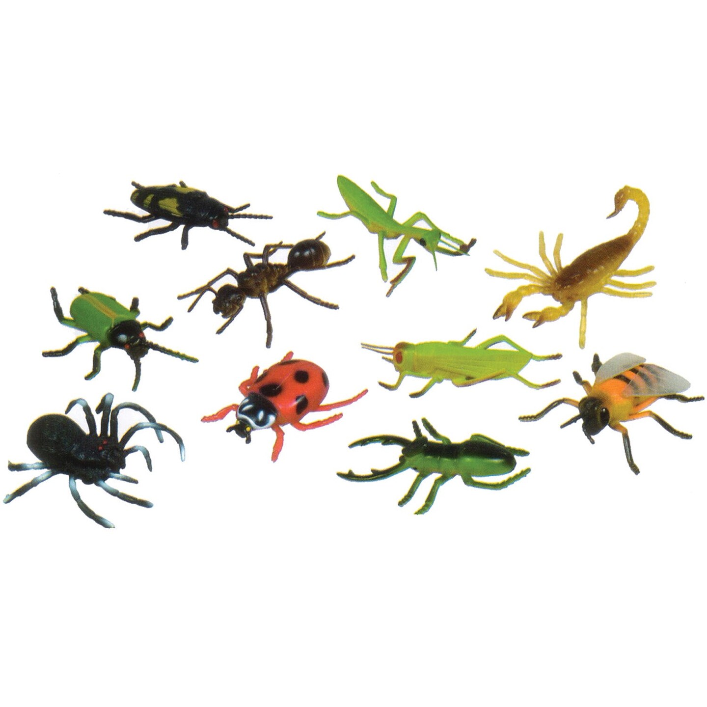 Insects, 5&#x22;, Set of 10