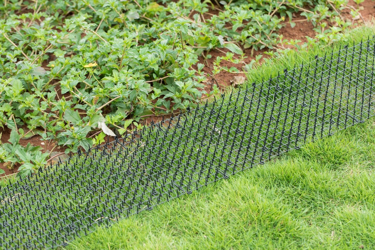 Garden Spike Indoor and Outdoor Mat Prickle Strip Digging Stopper
