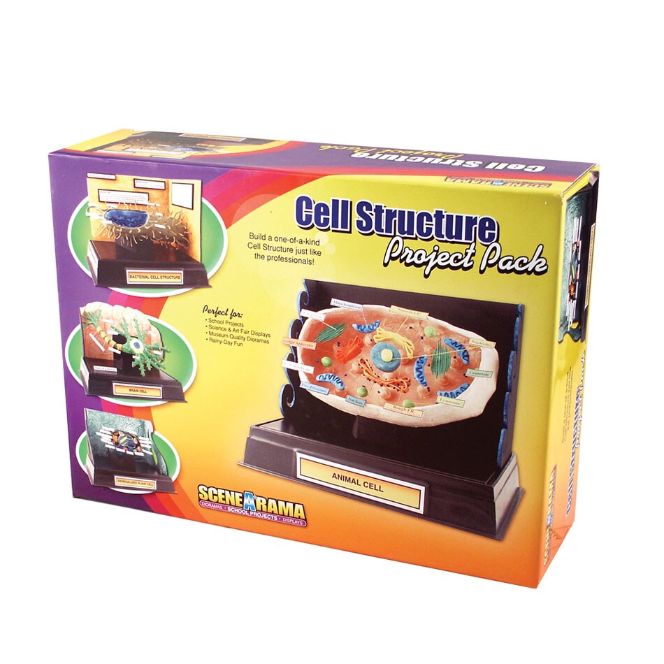 Woodland Scenics   CELL STRUCTURE PROJ PK Learning Kit