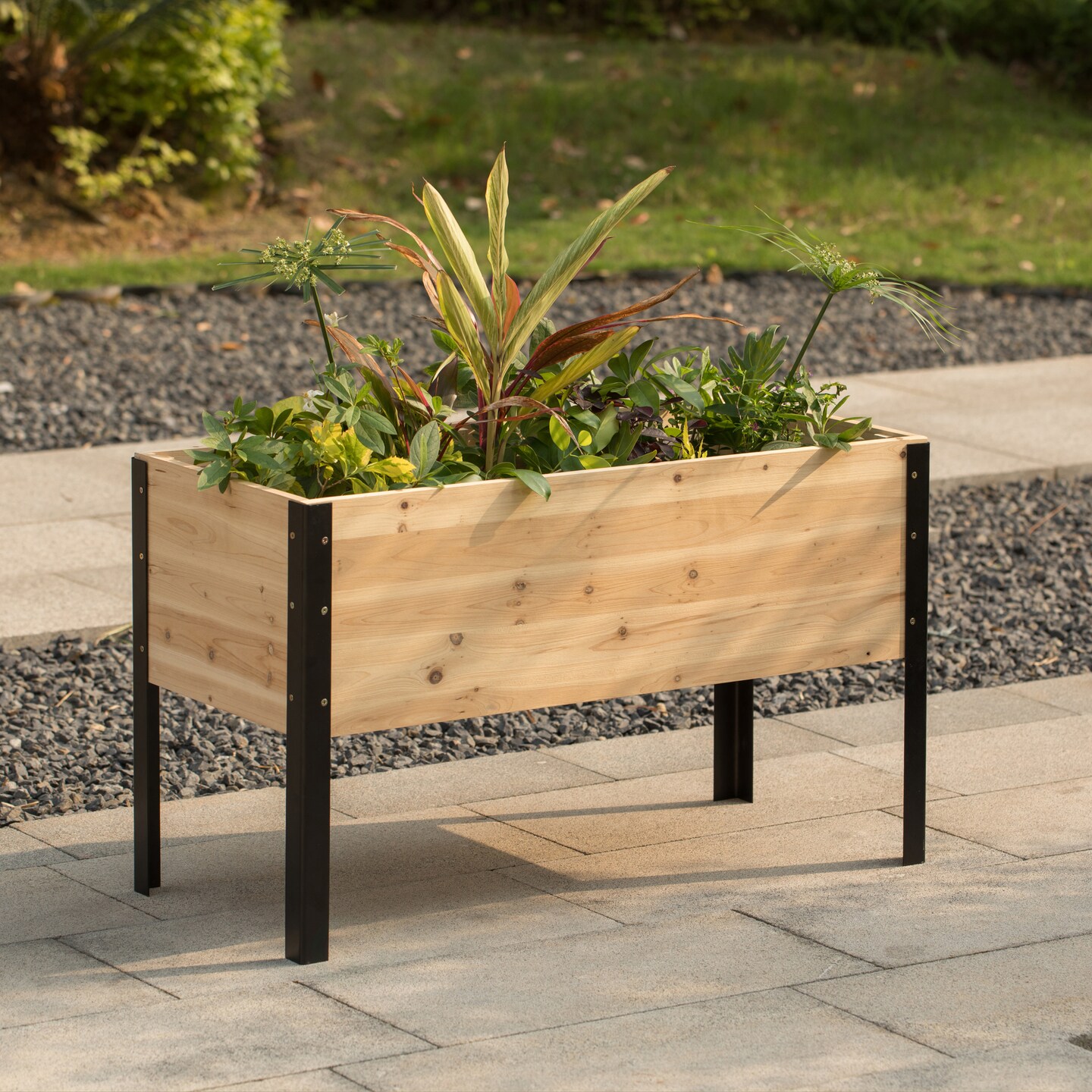 Elevated Outdoor Raised Rectangular Planter Bed Box Solid Wood with Steel Legs, Natural