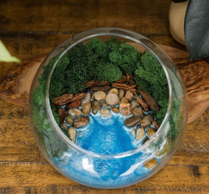 Resin Terrarium Kit Michaels