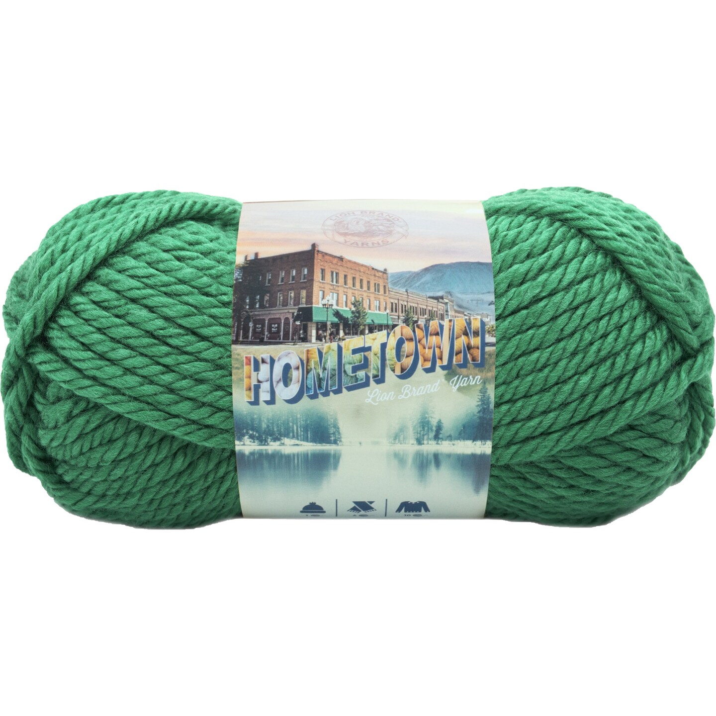 Multipack of 24 - Lion Brand Hometown Yarn-Green Bay Green