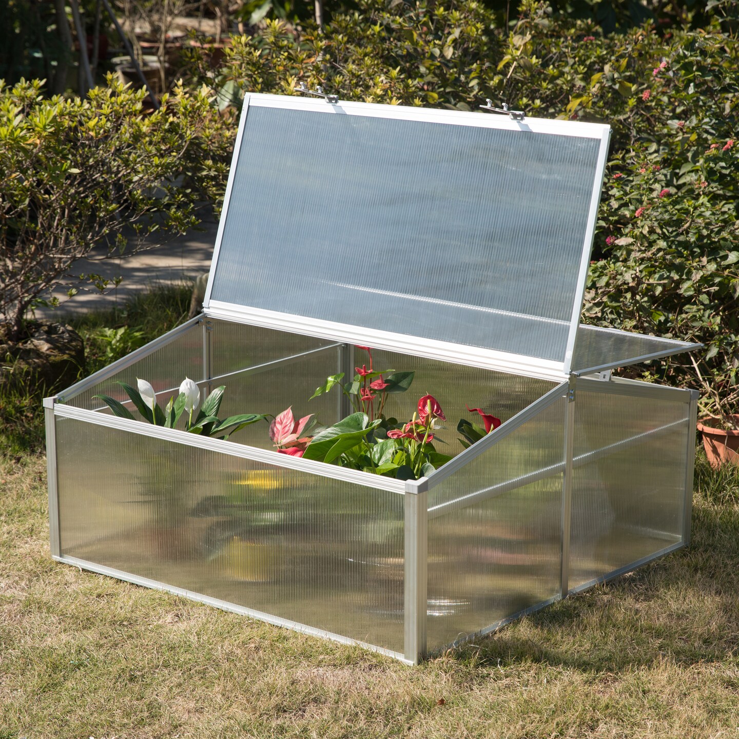 Mini Greenhouse Flower Box, Plant Protector Garden Pot