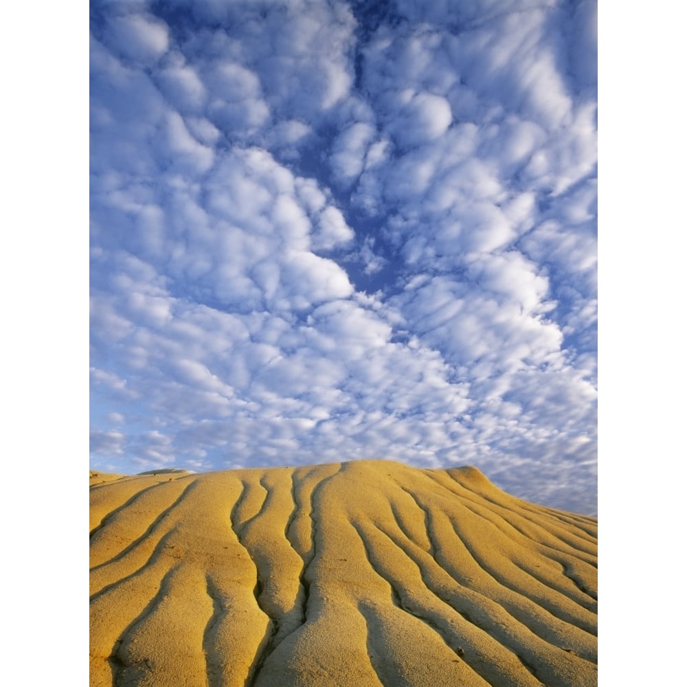 Posterazzi Erosion Channels On Rock  Red Deer River Badlands  Dinosaur Provincial Park  Alberta  Canada Poster Print