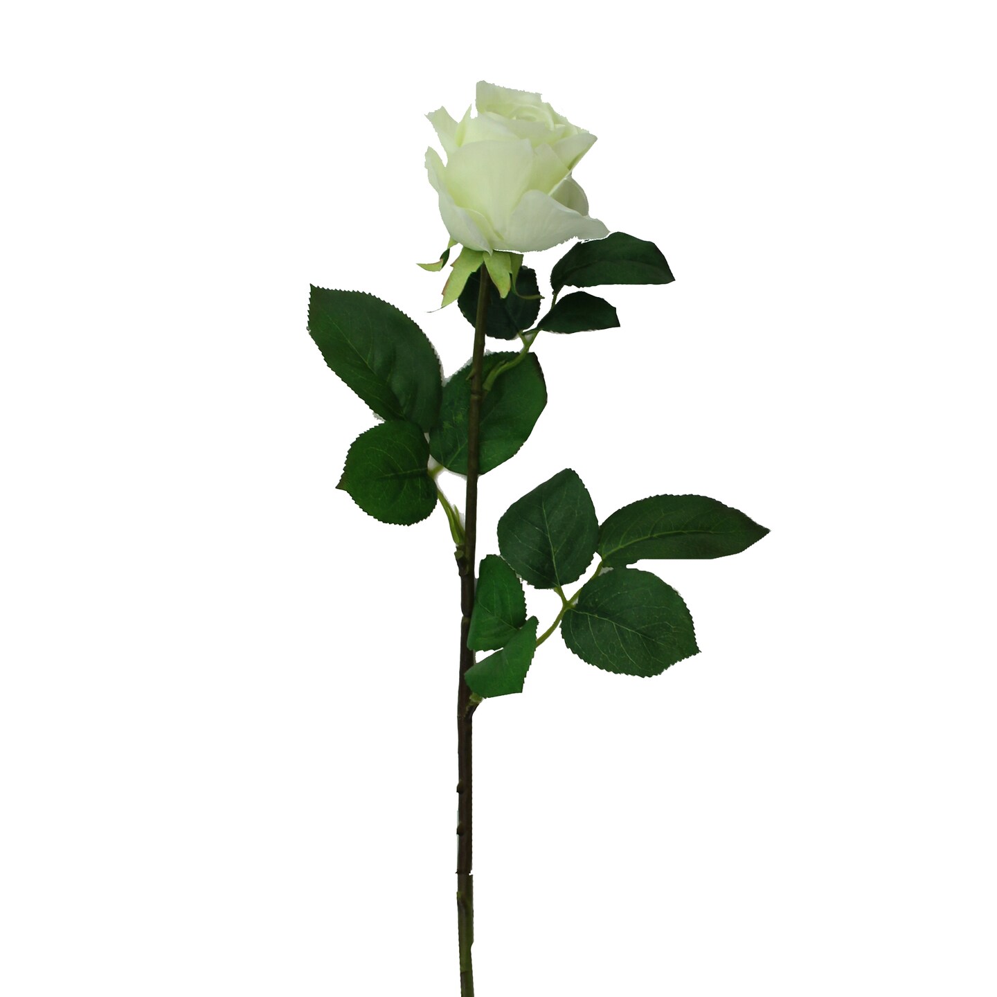 Select Artificials 30" White and Green Artificial Rose Stemmed Flower Spray