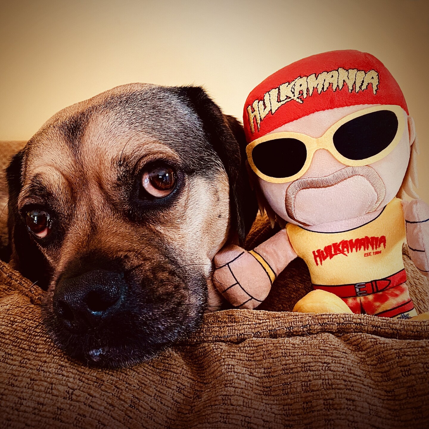 Bleacher Creatures WWE Hulk Hogan 8" Kuricha Sitting Plush