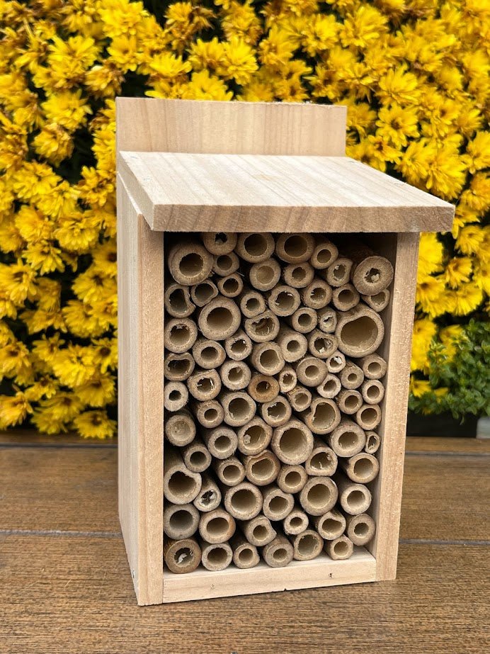 Kids DIY Pollinator House Kit