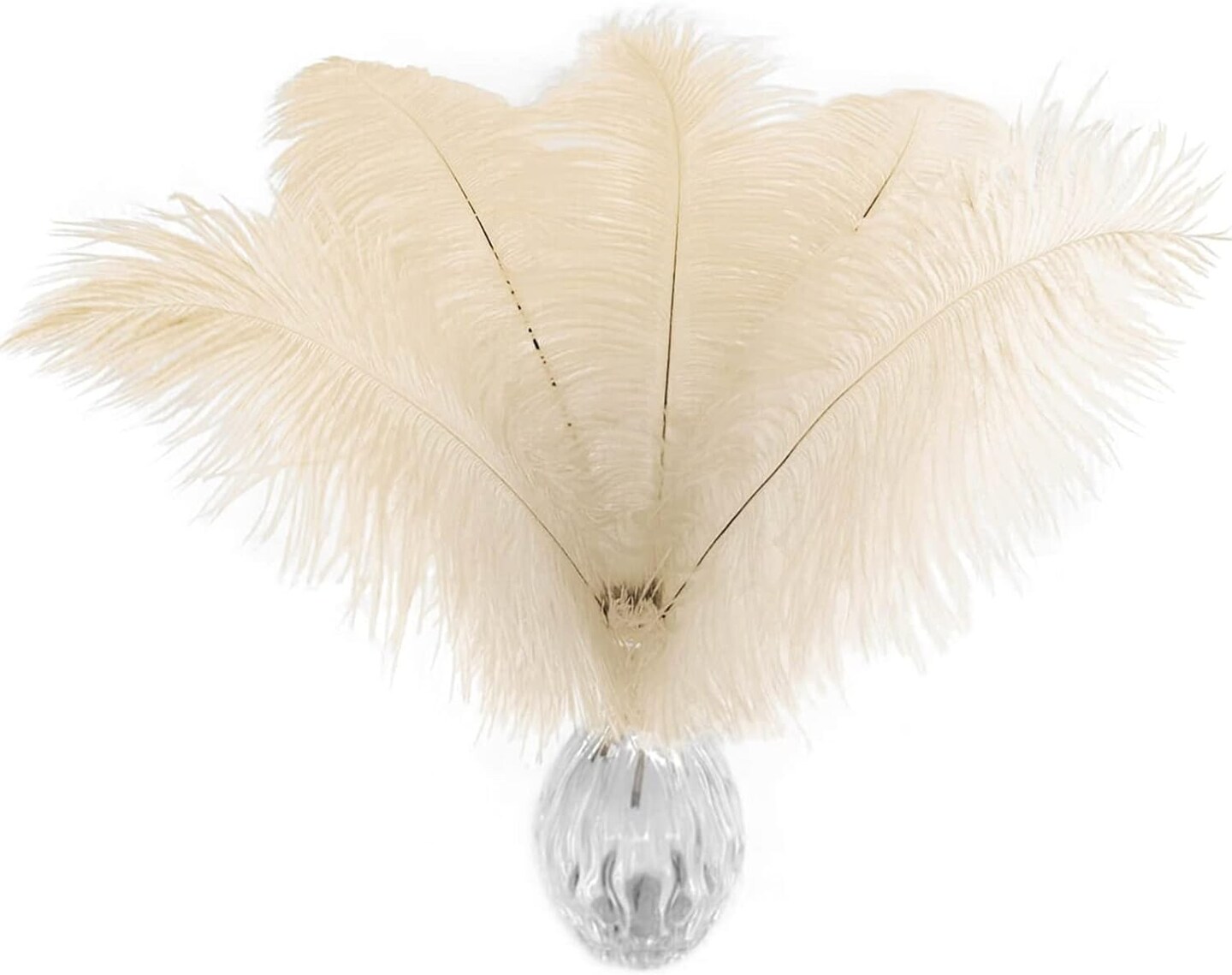 Stylish Natural Feathers