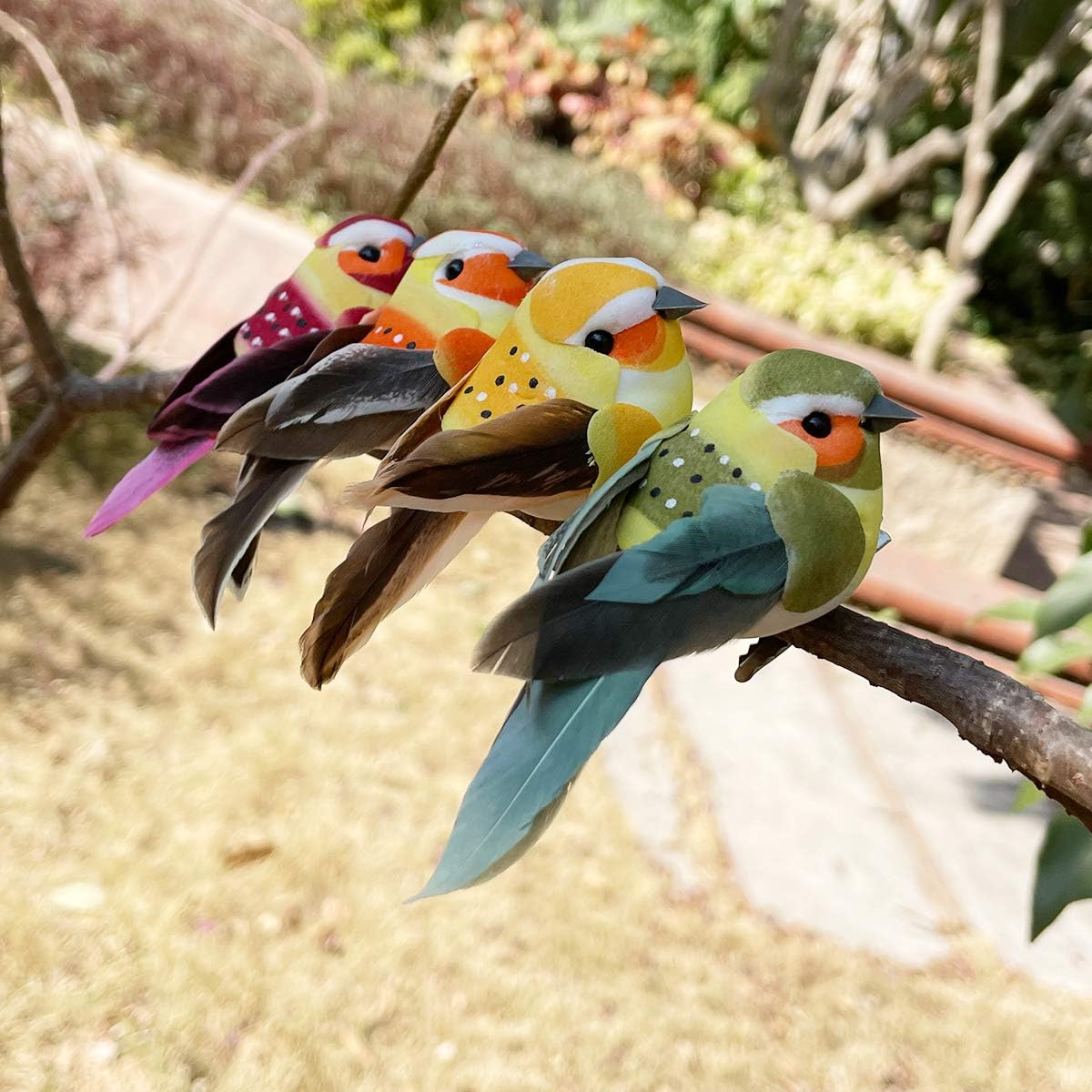 Decorative Realistic Clip Birds