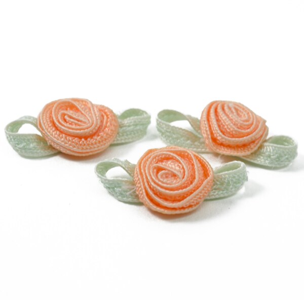 Rosette with Dark Green Leaves Pack of 3