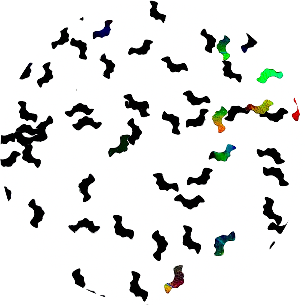 Polyester Glitter - Bats Glitter Shapes by Glitter Heart Co.™