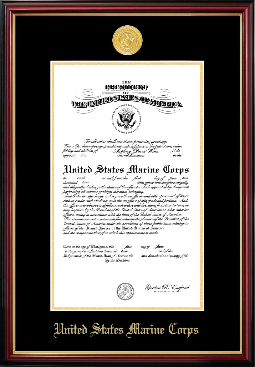 Patriot Frames Marine 10x14 Certificate Petite Frame with Gold Medallion