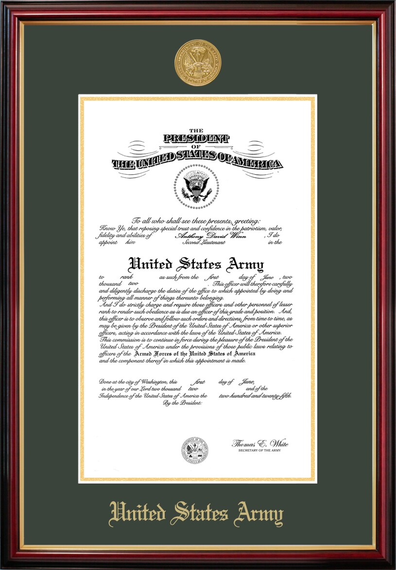 Patriot Frames Army 10x14 Certificate Petite Frame with Gold Medallion