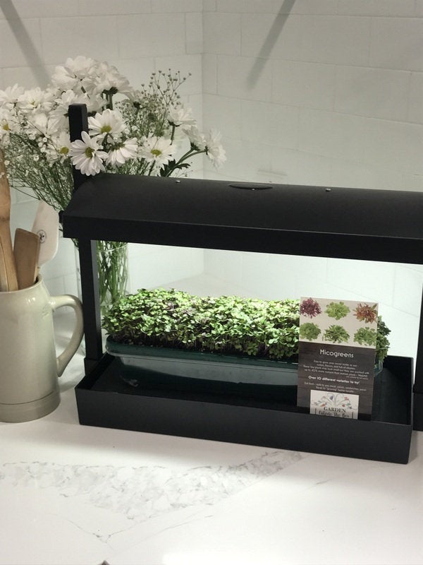 LED Microgreen Grow System - Everything you Need!