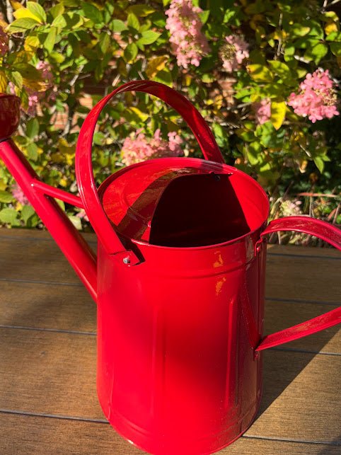 Large Watering Can - FUN COLORS